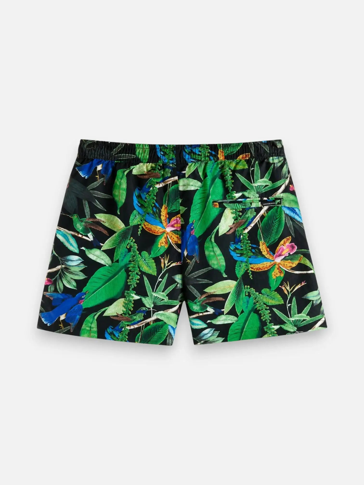 Bañador Scotch&Soda 142258-18-SSMM-G84 25 SCOTCH&SODA