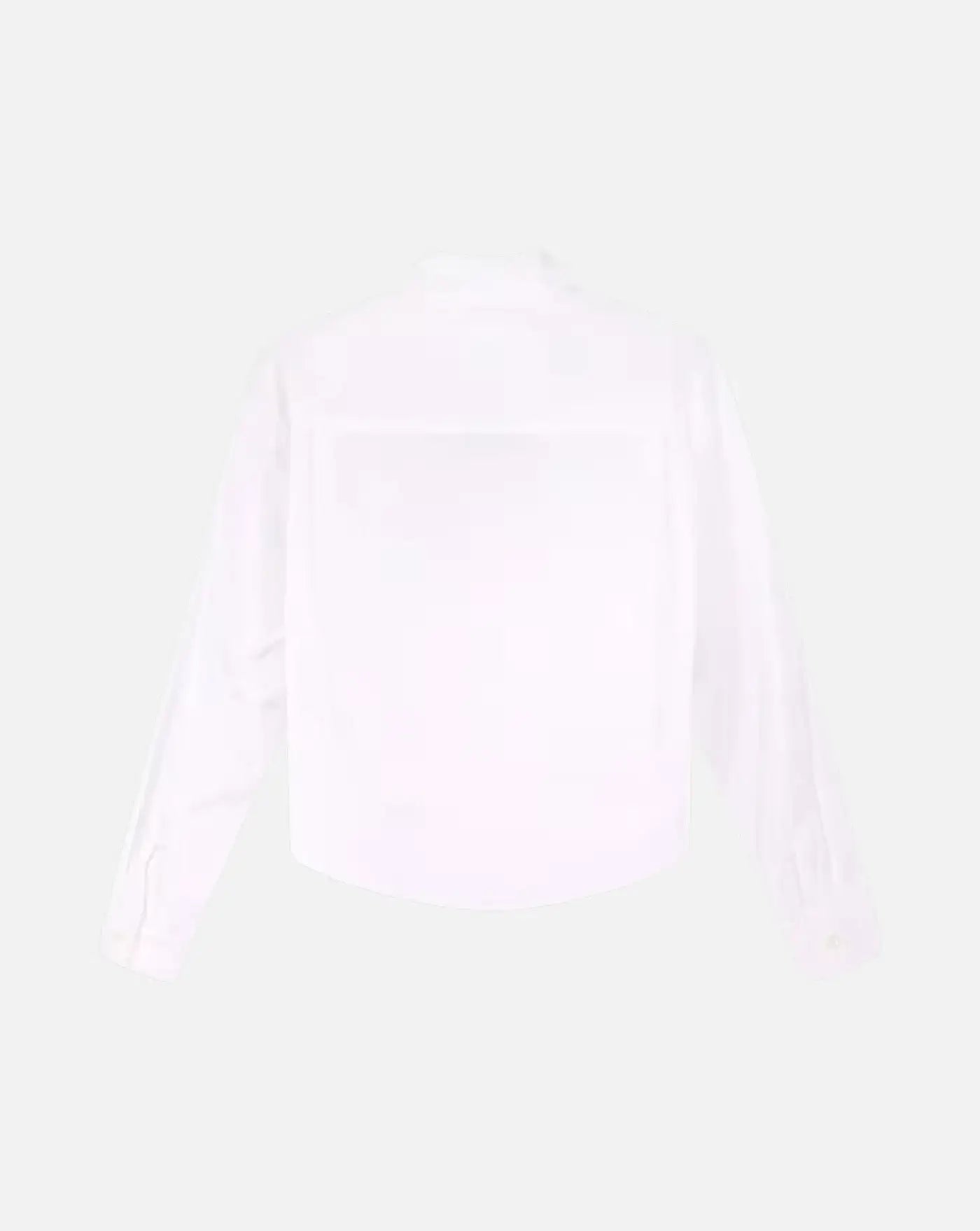 Camisa Cotton Classic Shirt Aspesi 26PG5405D307 85072 ASPESI