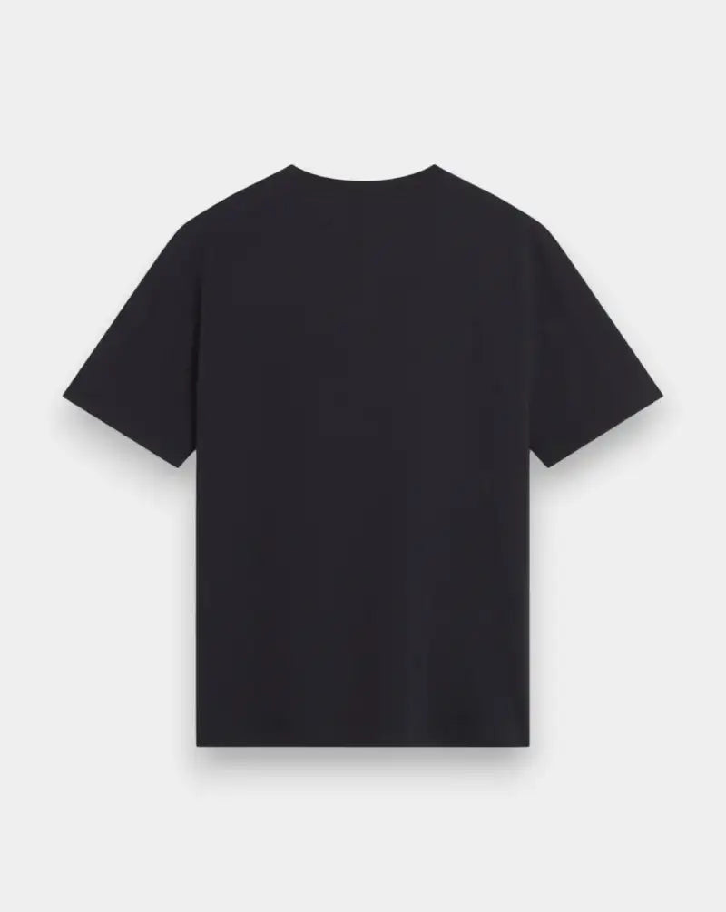 Camiseta Maison Kiitsune Paris Confort QM00100KJ7025 P199 MAISON KITSUNE