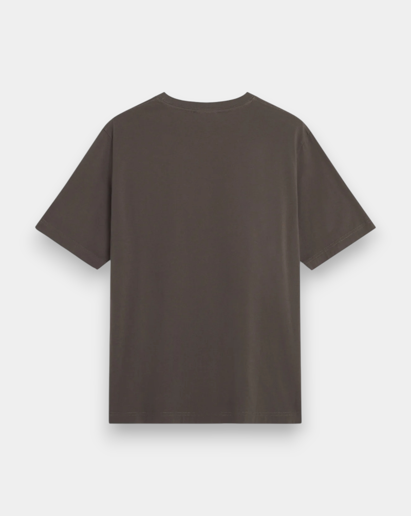 Camiseta Maison Kitunse Dreaming Fox QM00102KJ7026 0453 MAISON KITSUNE