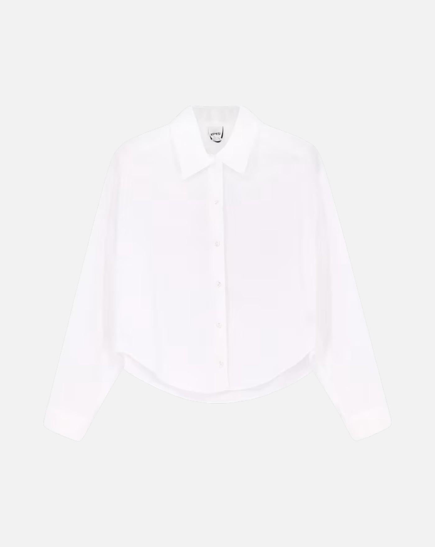 Camisa Cotton Classic Shirt Aspesi 26PG5405D307 85072 ASPESI