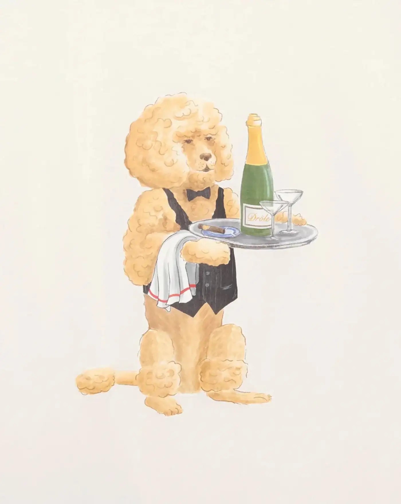 Camiseta Drole de Monsieur Le T-Shirt Poodle TS271 CO002 OW DROLE DE MONSIEUR