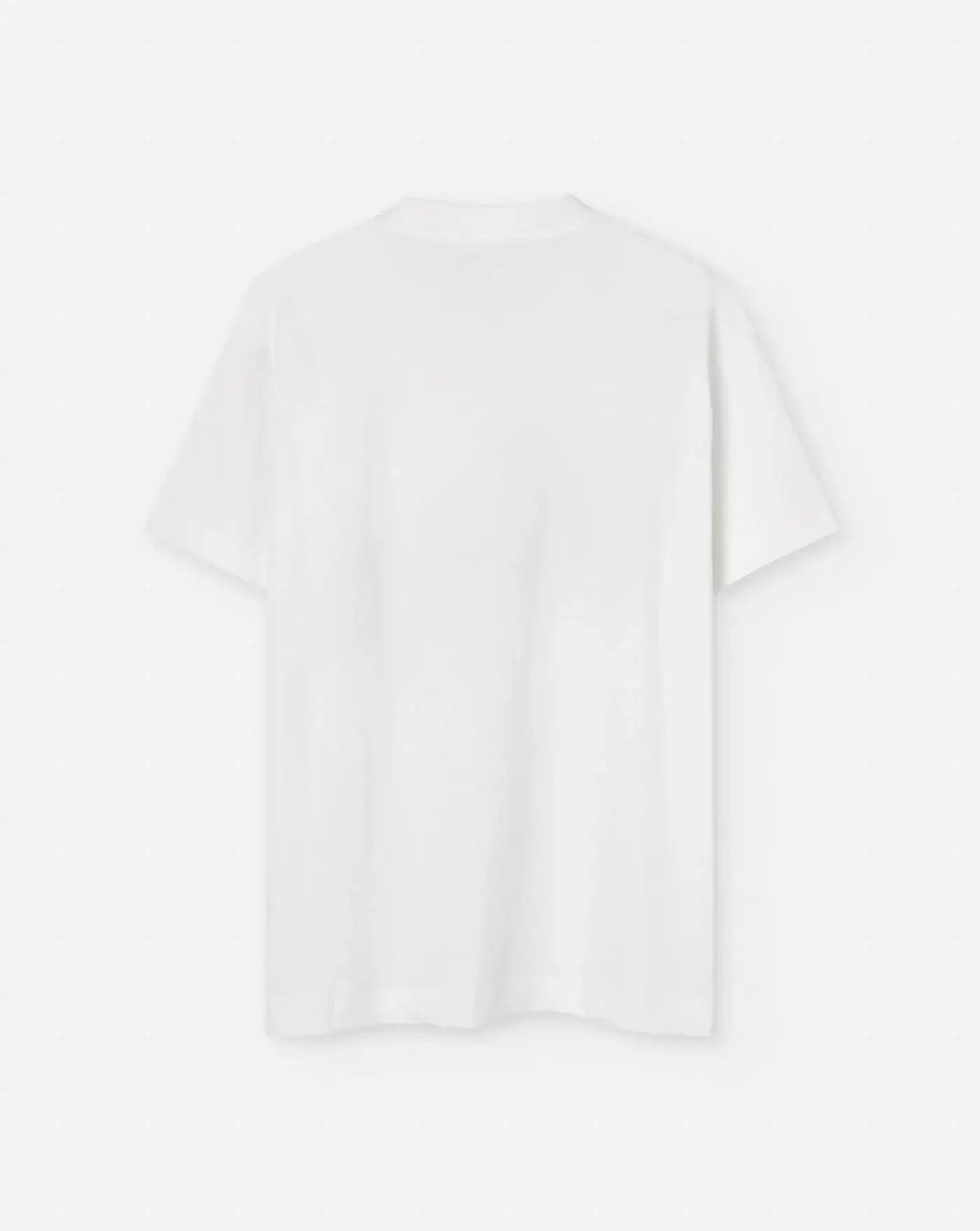 Camiseta Flâneur Floral F15184 WHITE BLUE FLANEUR