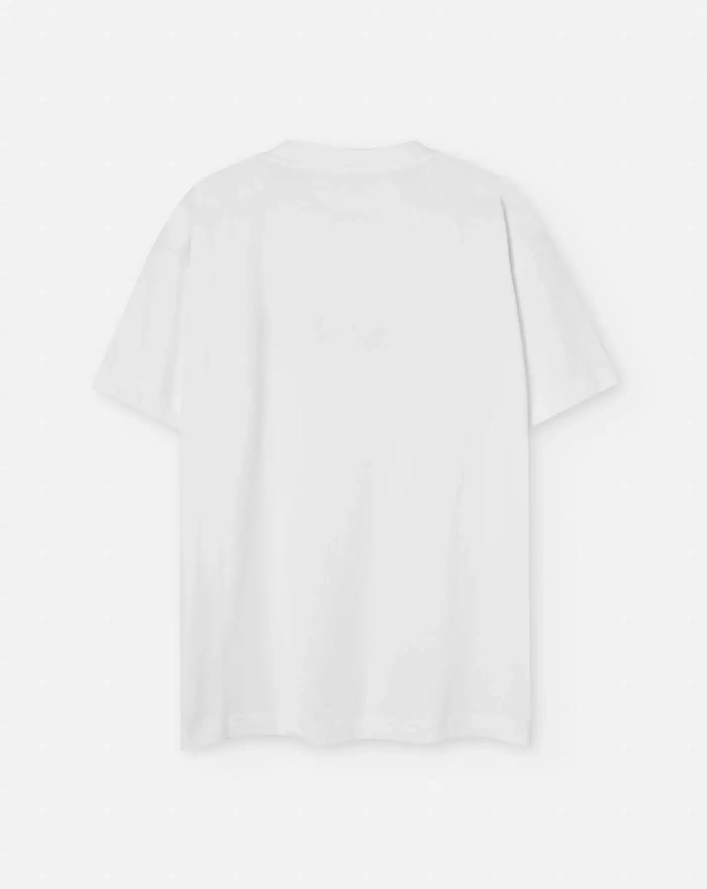 Camiseta Flâneur Printed Logo T-Shirt FTSH038 051 FLANEUR