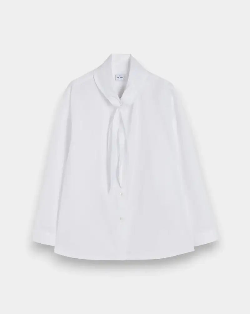 Camisa Apesi Nudo W5G5436C118 07072 ASPESI