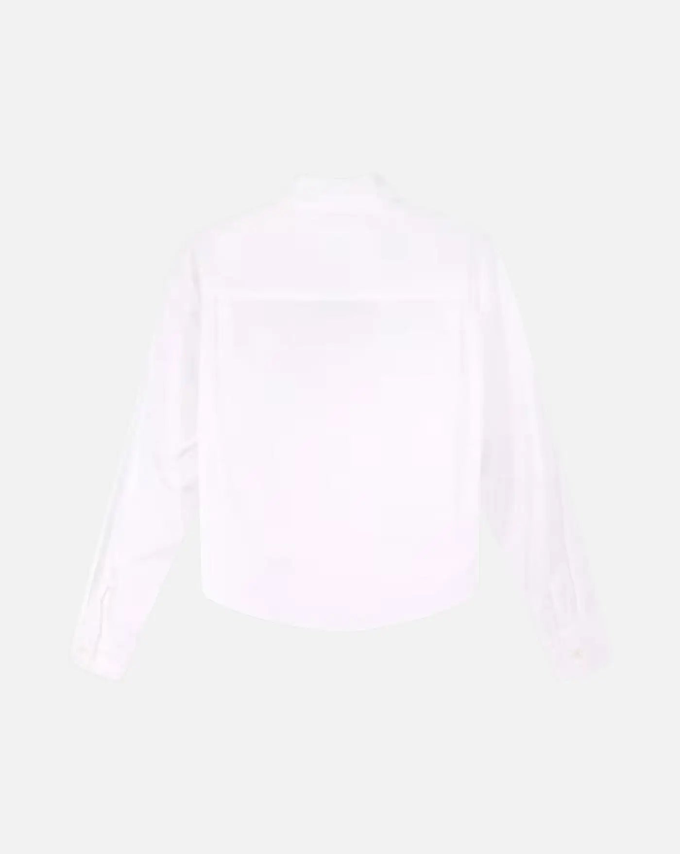Camisa Cotton Classic Shirt Aspesi 26PG5405D307 85072 ASPESI