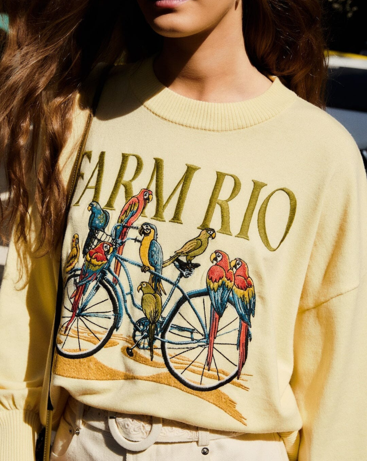 Jersey Farm Rio Birds Bicycle Embroidery Sweater 358961 L0032 FARM RIO
