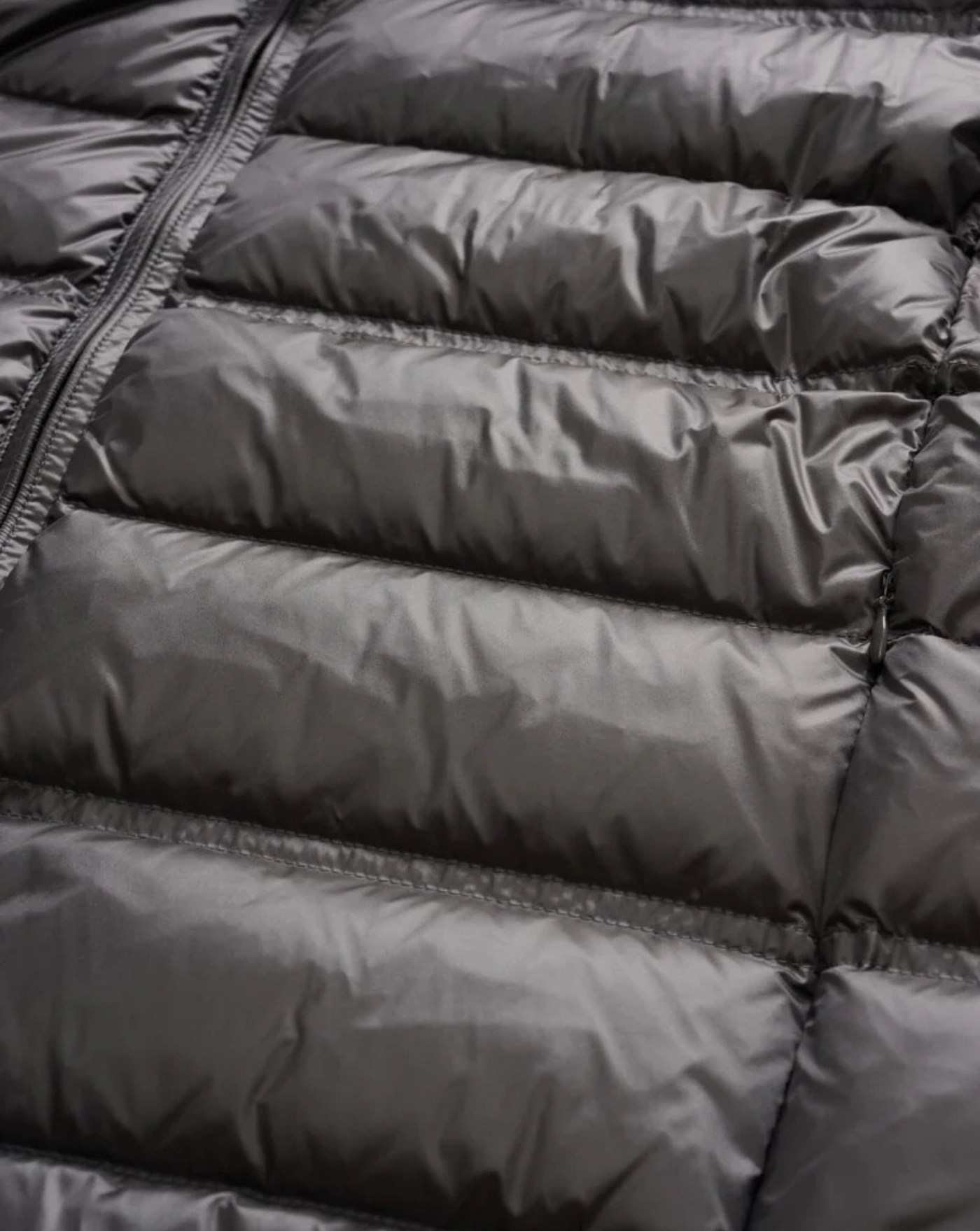 Chaqueta Blauer Belmont 25WBLUC03090 006719978 BLAUER