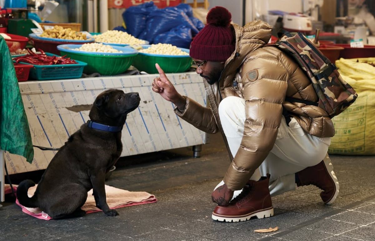 Blauer: Marca icónica de Chaquetas de Inspiración Americana