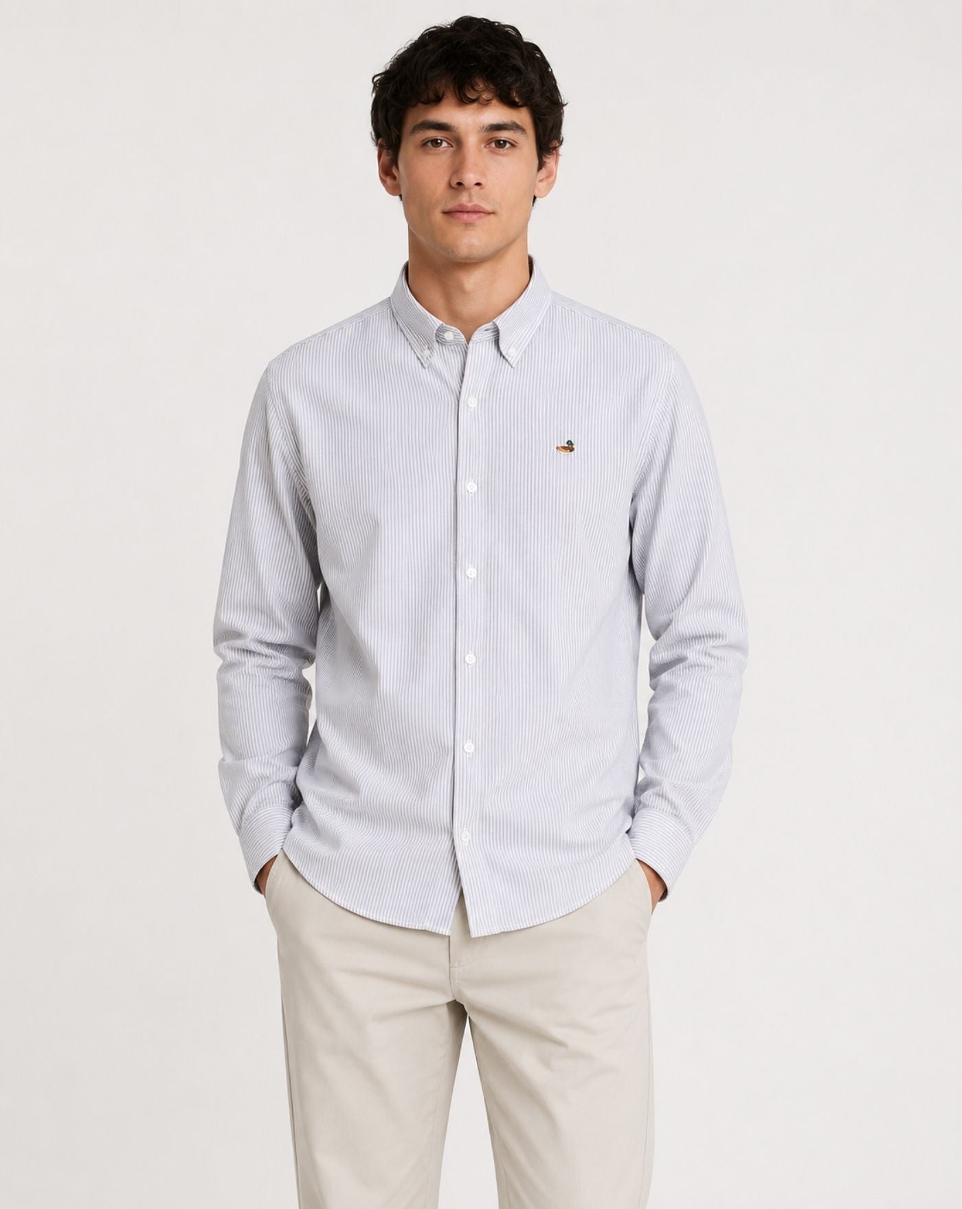 Camisa Edmmond Duck Striped 3261002790 PLAIN CHOCOLATE EDMMOND 