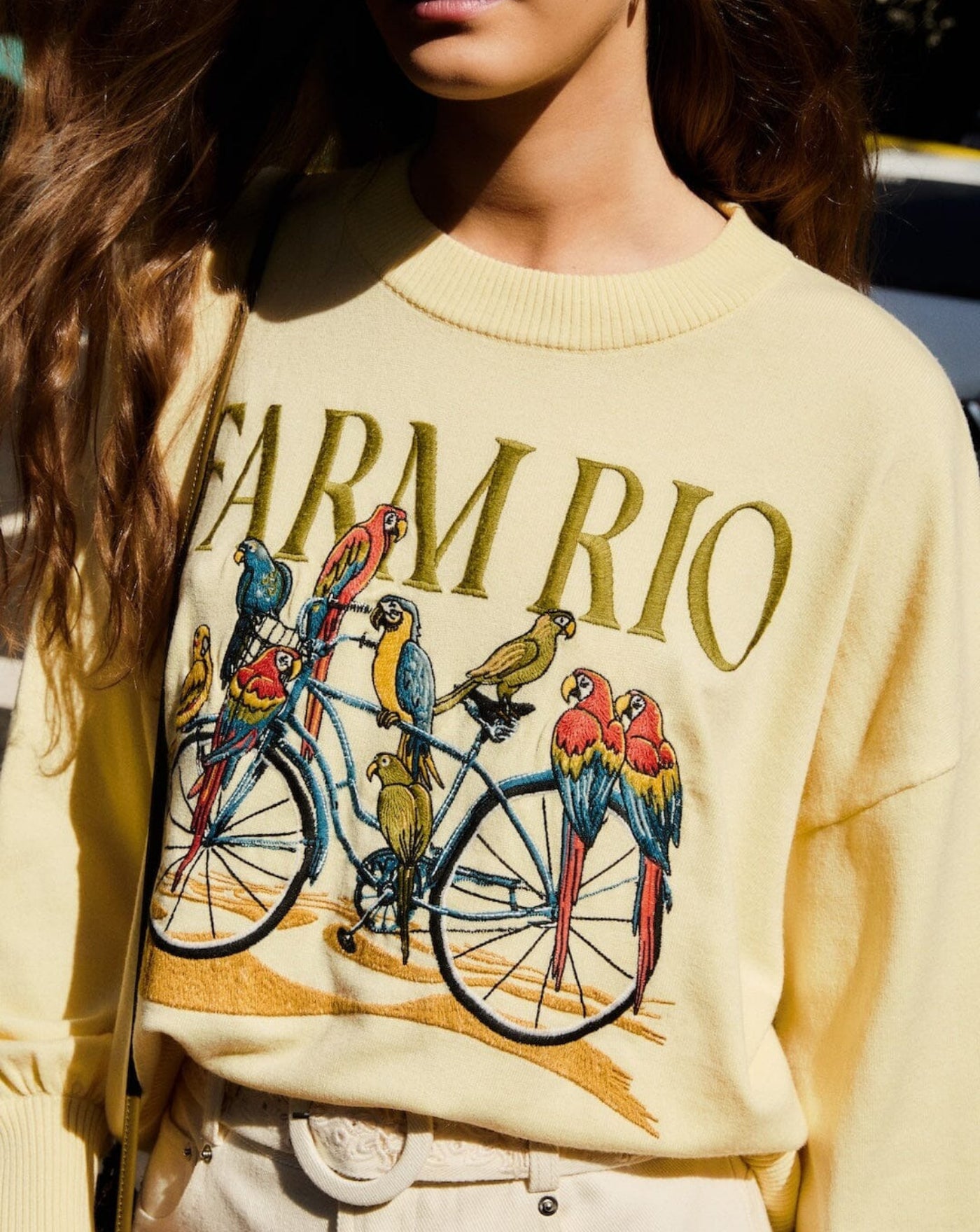 Jersey Farm Rio Birds Bicycle Embroidery Sweater 358961 L0032 FARM RIO 