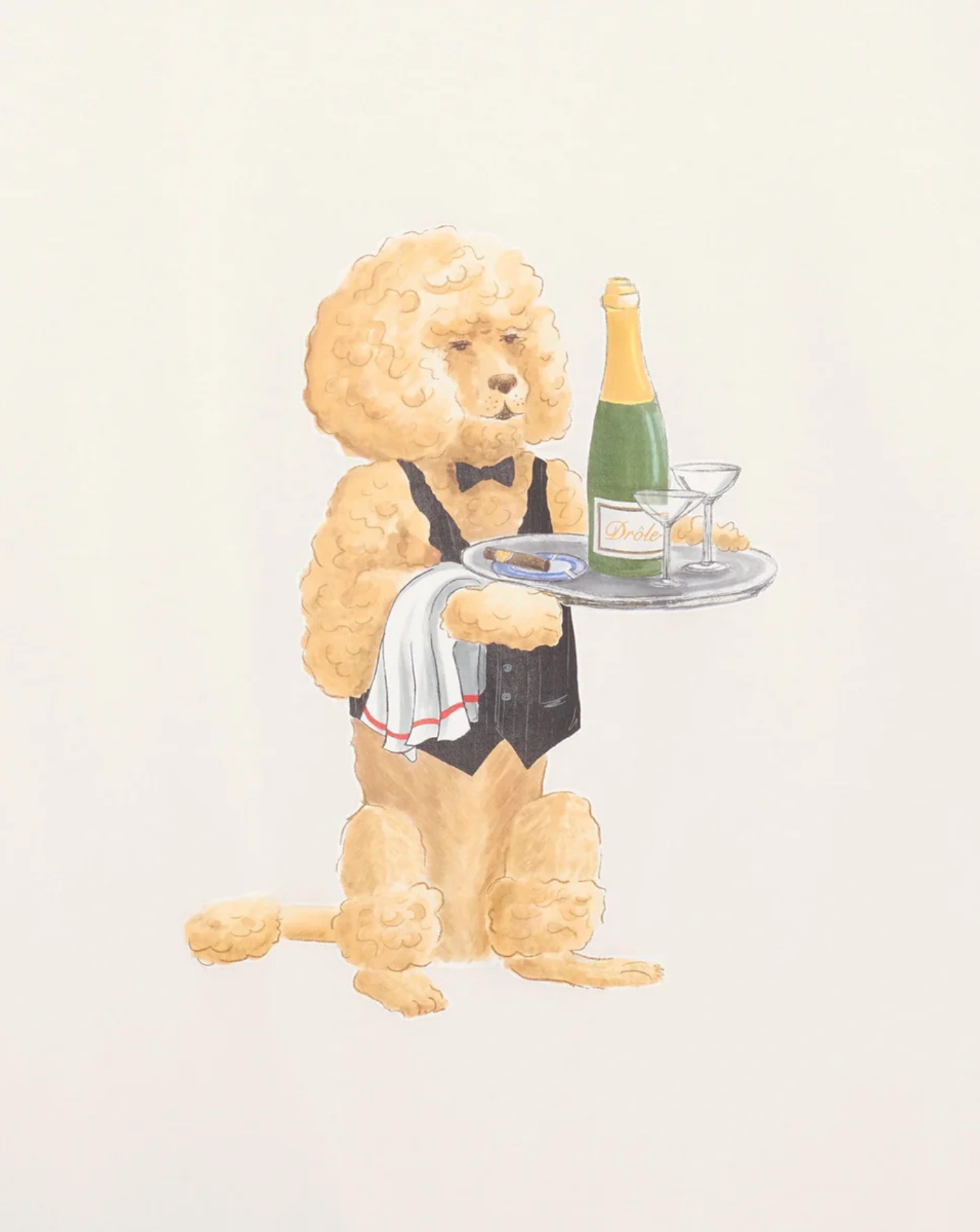 Camiseta Drole de Monsieur Le T-Shirt Poodle TS271 CO002 OW DROLE DE MONSIEUR 