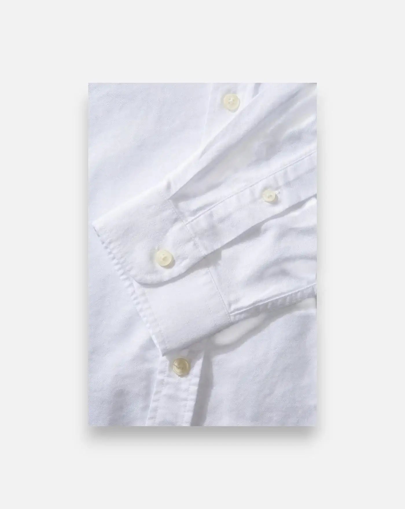 Camisa Edmmond Duck Shirt Oxford 1261001000 PLAIN WHITE EDMMOND 