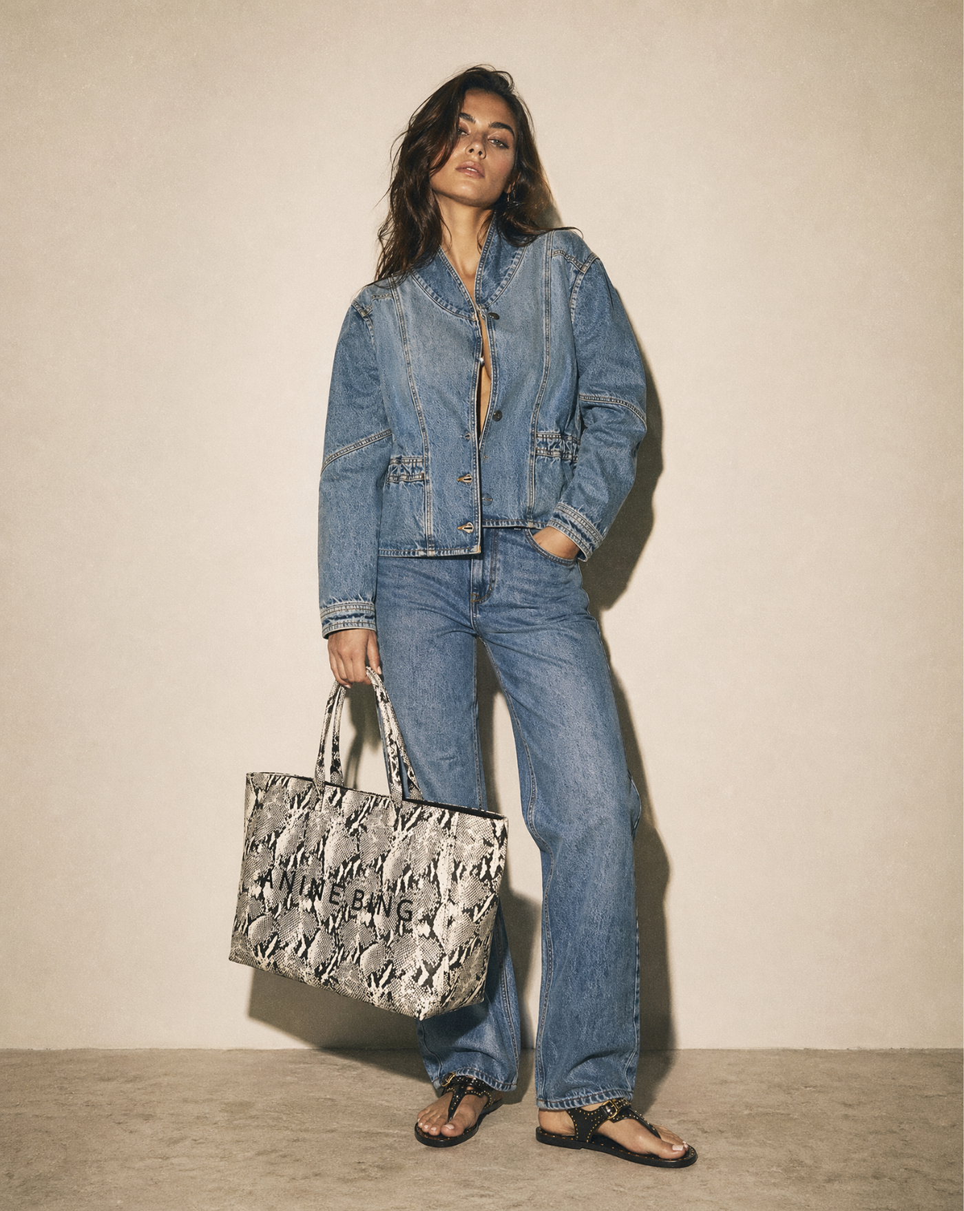 Bolso Anine Bing Leo Canvas Tote A1311841MTL100 PRINT ANINE BING 